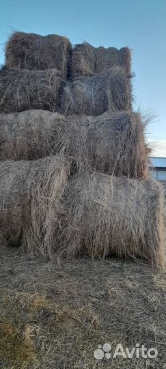 Сено солома в рулона