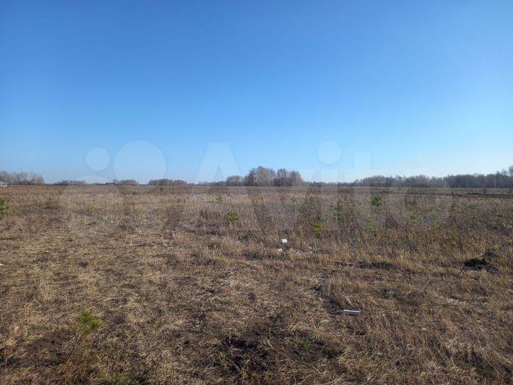 Участок 8 сот. (СНТ, ДНП)