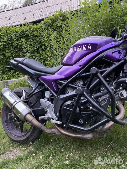 Suzuki SV650 ABS, 2016, 90-V-twin