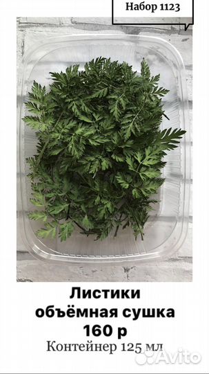 Папоротник