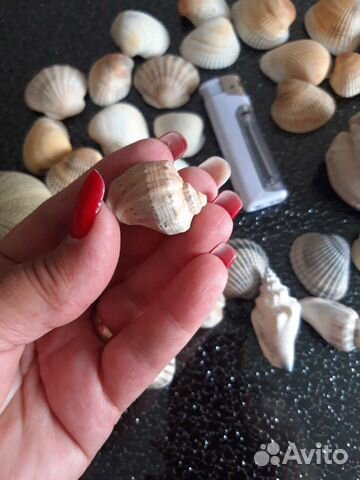 Морские ракушки раковины для аквариума, декора