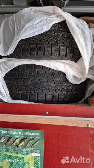 Nexen Winguard Ice 205/55 R16