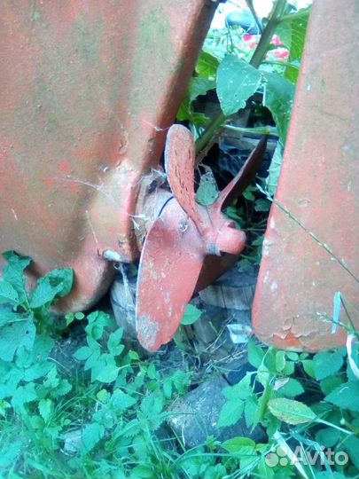 Катера и яхты