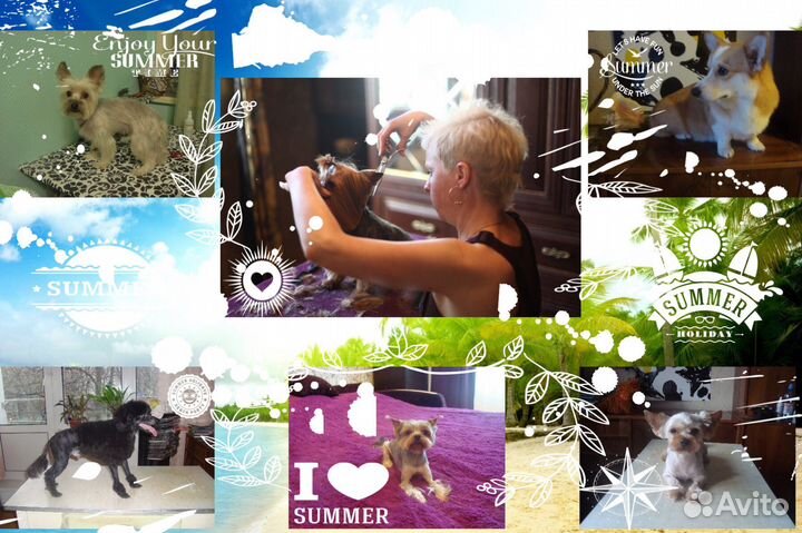 Лёля - собачий парикмахер