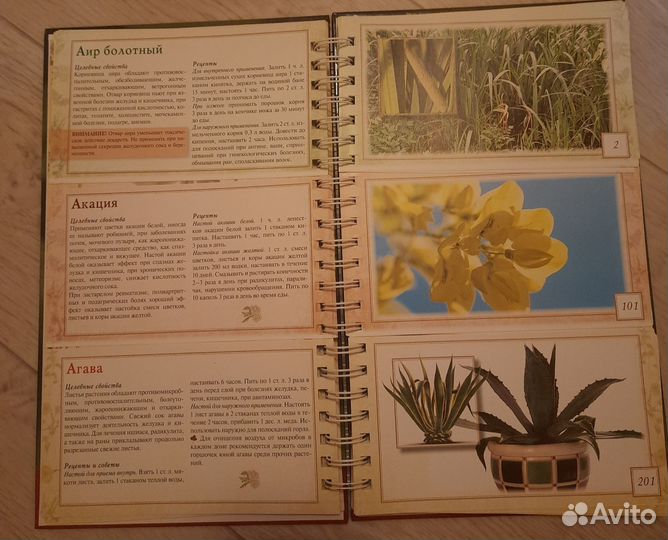 Энциклопедия лекарственных растений. Соловьева В