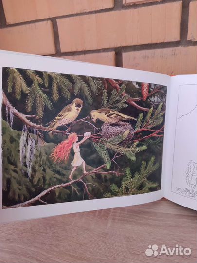 Книга Солнечное яйцо