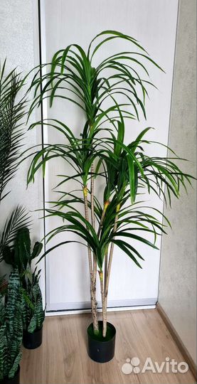 Драцена, искусственное дерево
