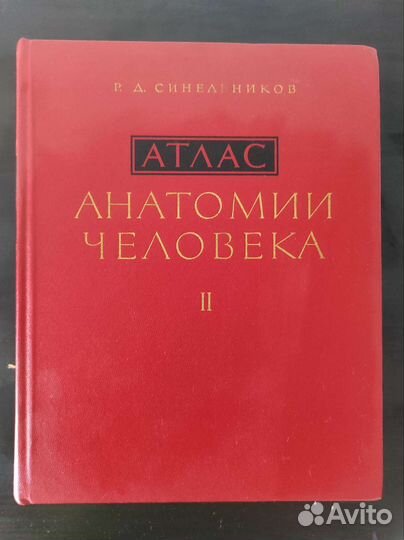 Атлас анатомия человека