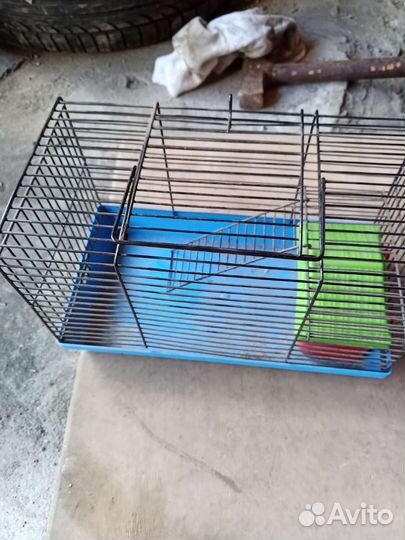 Клетка для хомяка бу