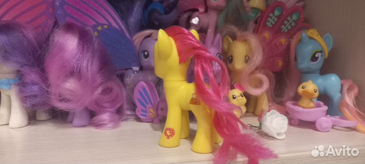 My little pony