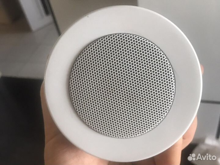 Трансляционный потолочный динамик