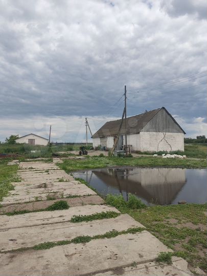 Участок 12 га (СНТ, ДНП)