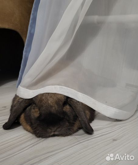 Пошив штор, тюлей