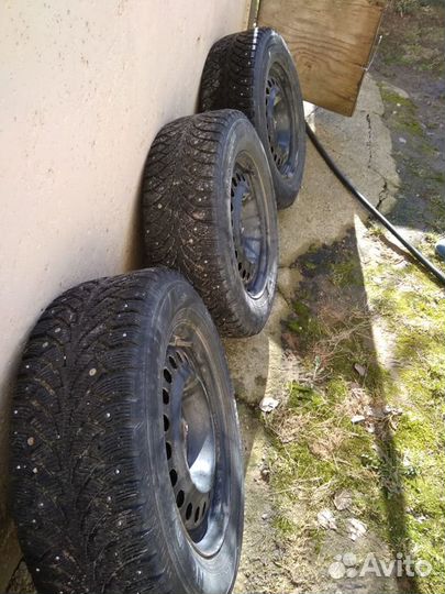 Nordman 4
