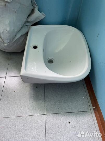 Раковина тюльпан бу