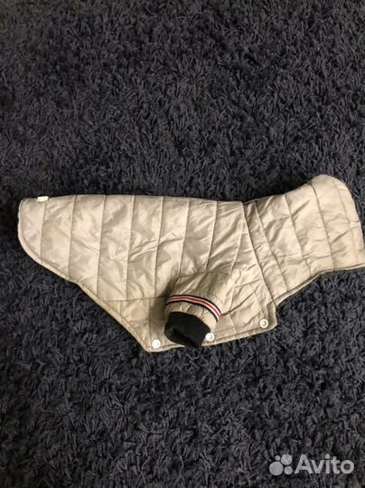 Одежда для собак