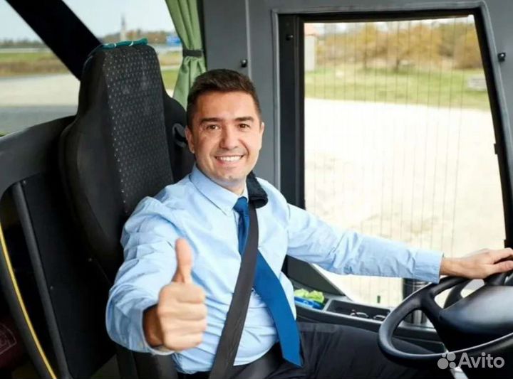 Водитель категории D, водитель категория Д