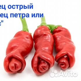 Перец палец петра фото - ViktoriaFoto.ru