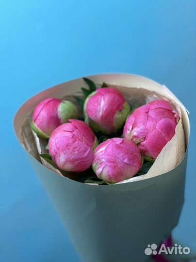 Хризантемы сирень пионы роза