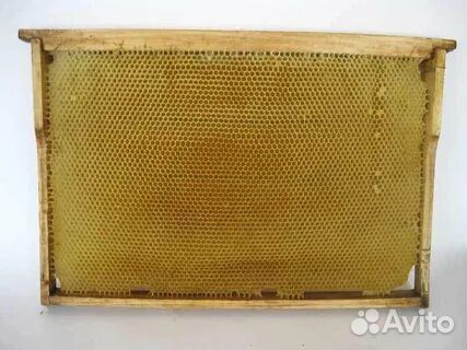 Рамки с сушью на 300 мм