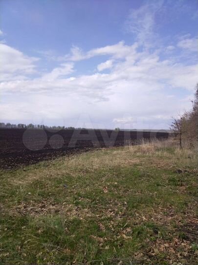 Участок 30 га (ИЖС)