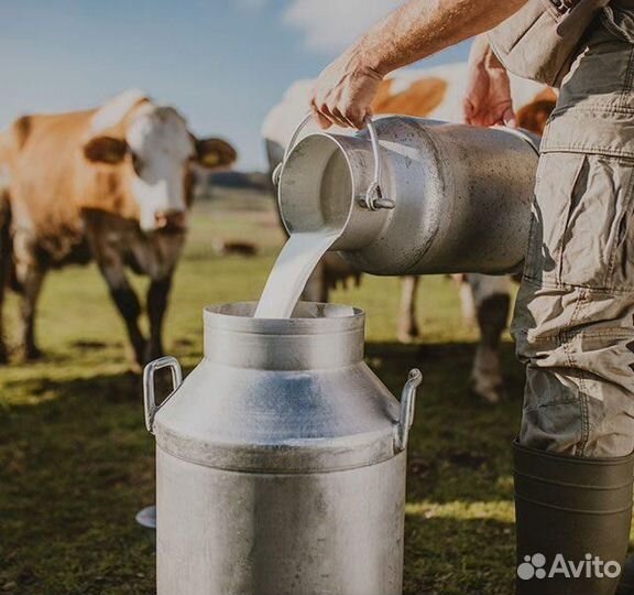 Молоко высший сорт, обрат. Оптом