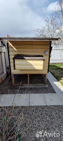 Курятник зимний