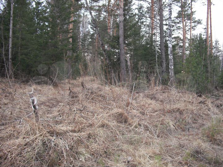 Участок 10 сот. (СНТ, ДНП)