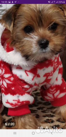 Комбинезон для собак