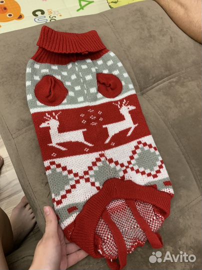 Одежда для средних собак