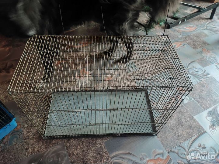 Клетка для грызунов маленькая, большая для птиц