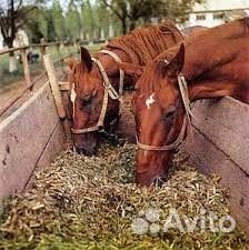 Жмых/ Жом/ Отруби/ Крупы/ Корма