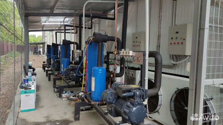 Холодильщики