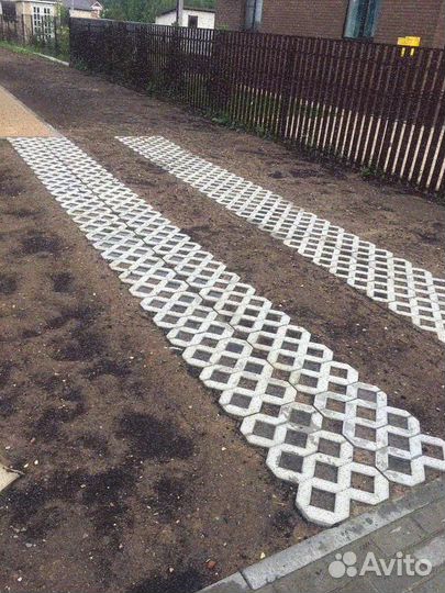 Рулонный газон элитный