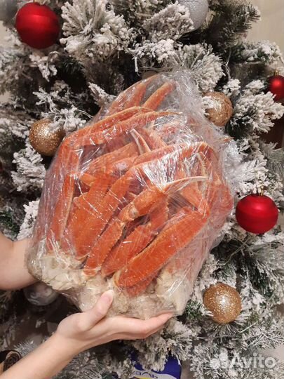 Краб-Стригун(фаланги)