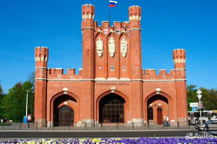 Поездка в г. Калининград 7 нч