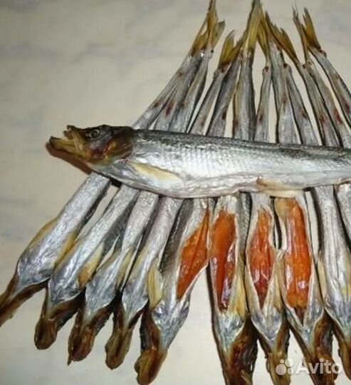 Корюшка вяленая с икрой