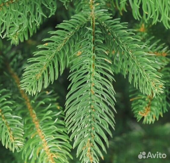 Ёлка искусственная новогодняя литая