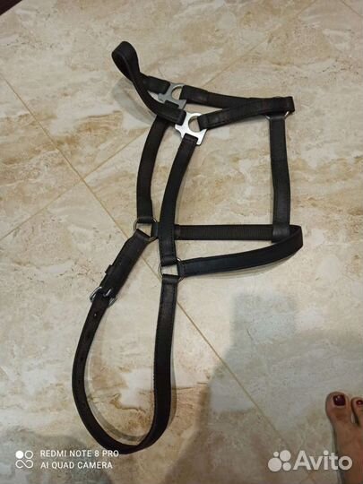 Недоуздок для тяжеловоза