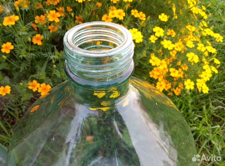 Бутыль стеклянный 20 литров