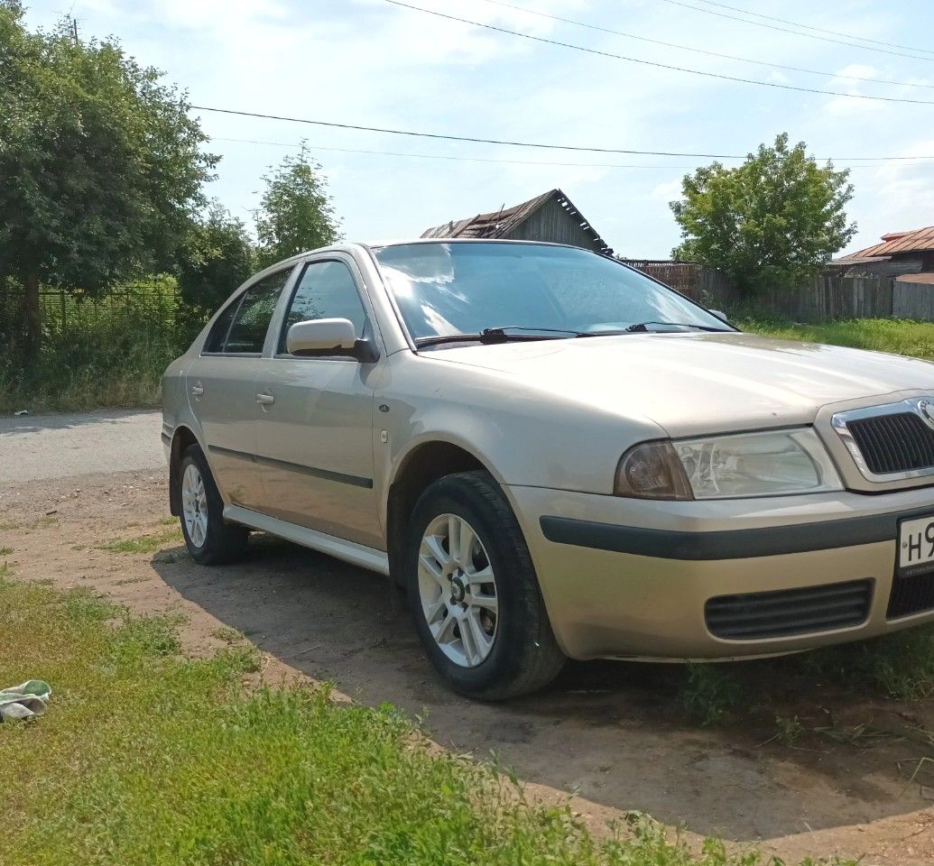 Skoda Octavia: фото владельца