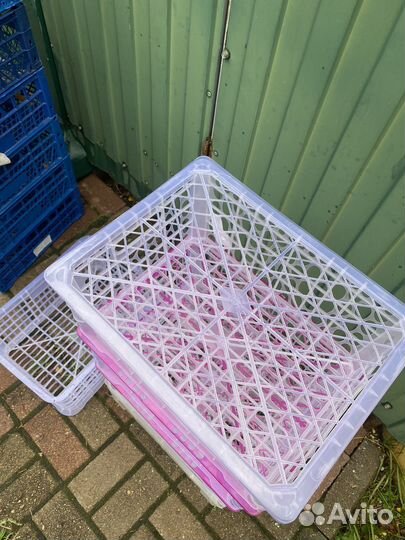Ящик пластиковый с крышкой
