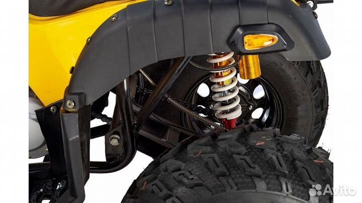 Квадроцикл Raptor Max Pro 250