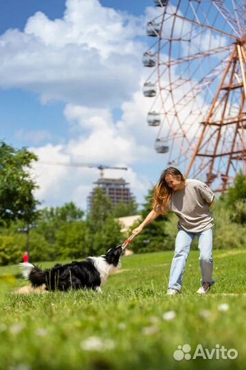 Услуги кинолога