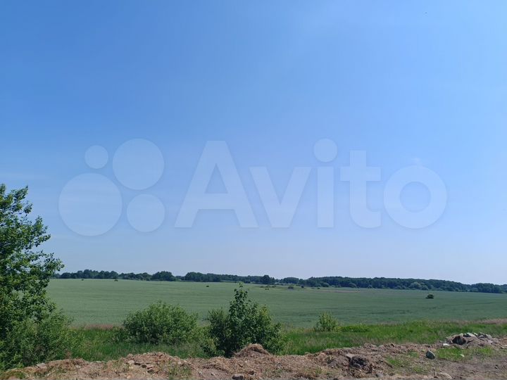 Участок 8 сот. (ИЖС)