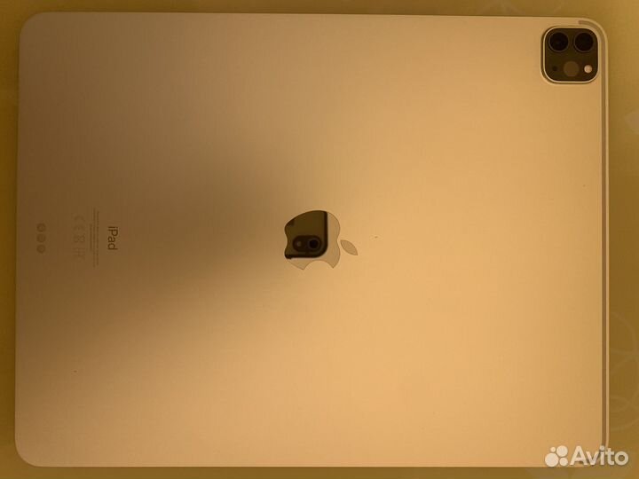 iPad pro 12.9 2020 256gb