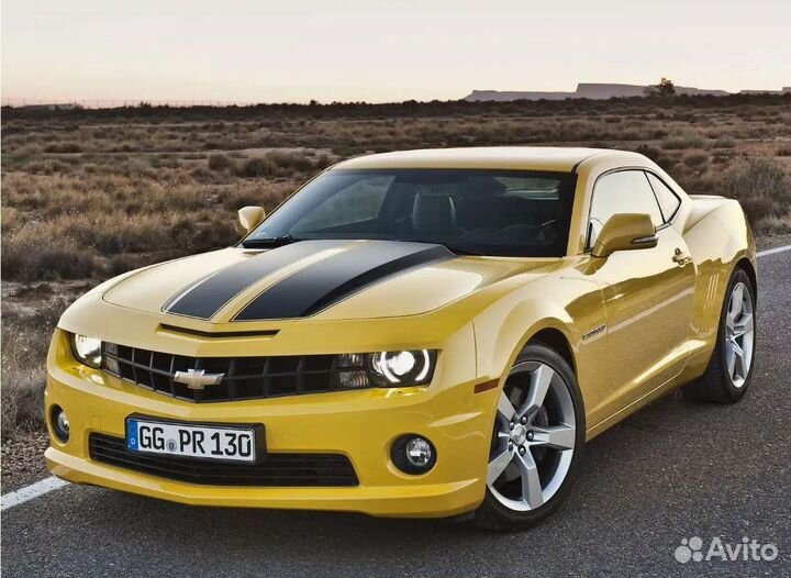 Аренда машины для праздника