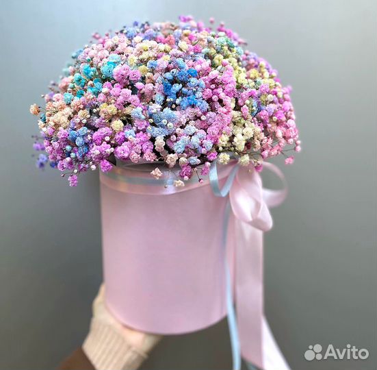 Радужная Гипсофила в Коробочках