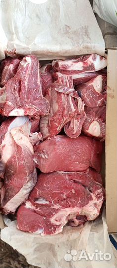 Мясо телятина