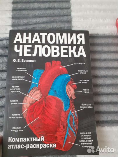 Анатомия атлас раскраска Медицина